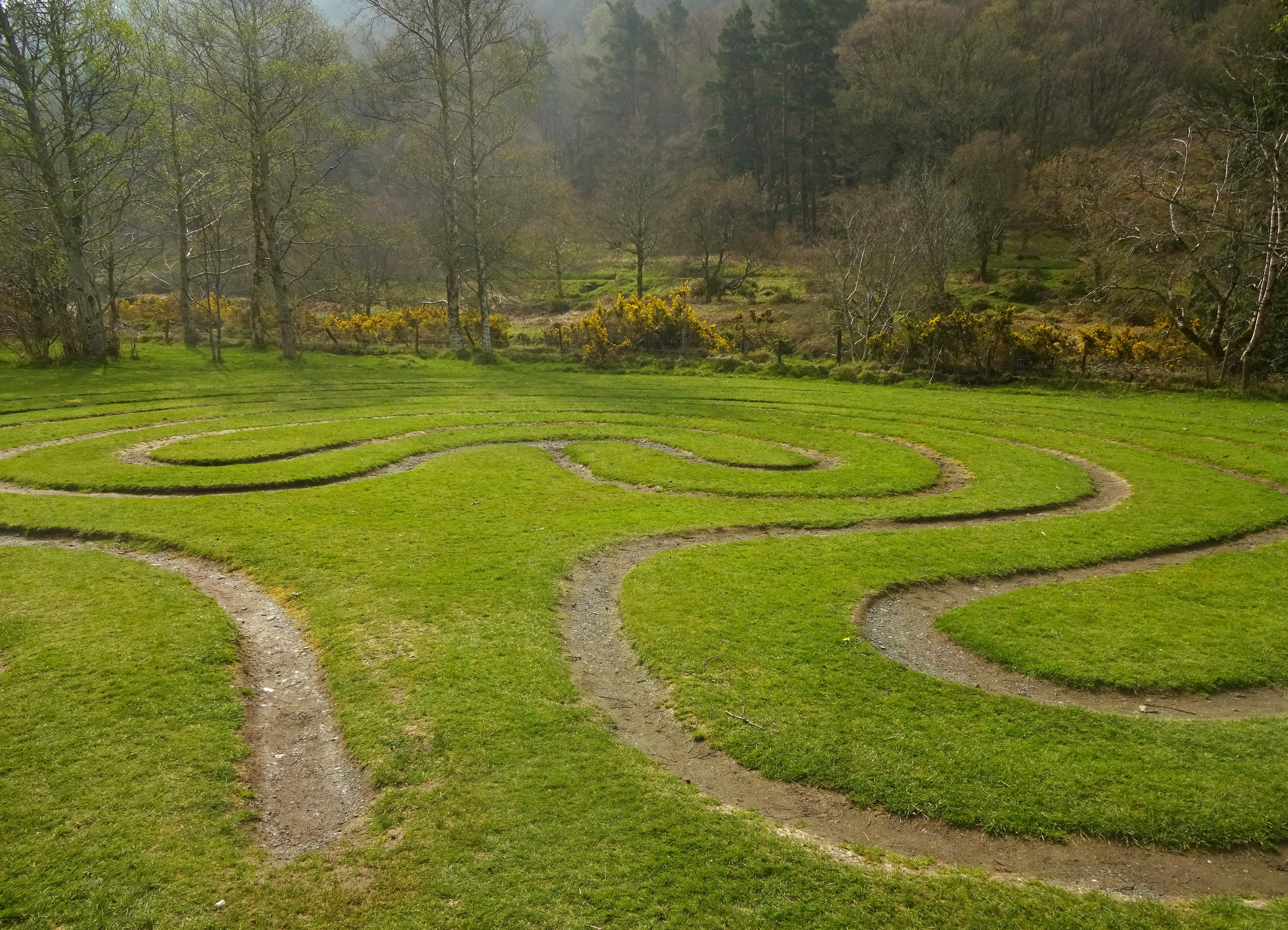 Zen garden