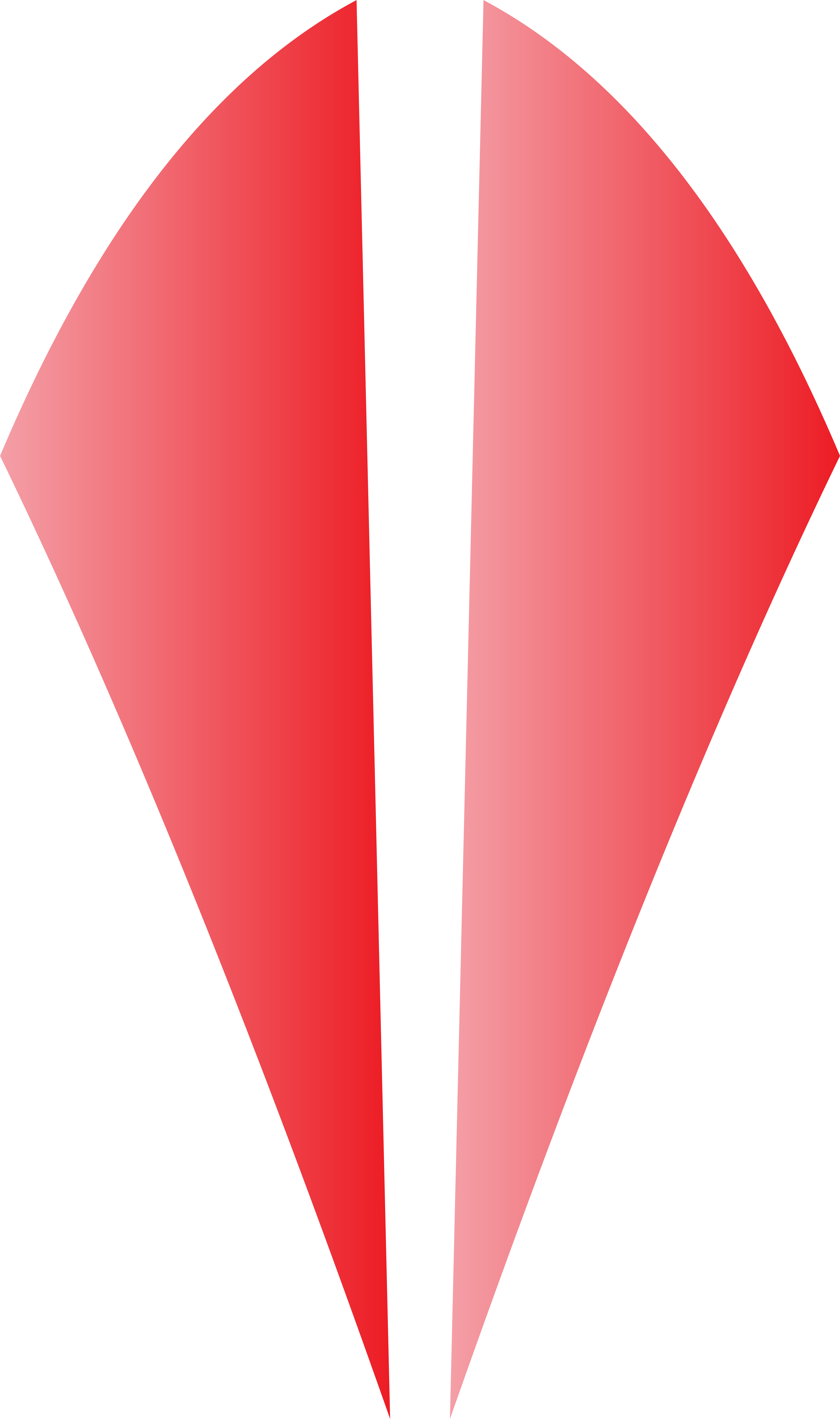 Vector