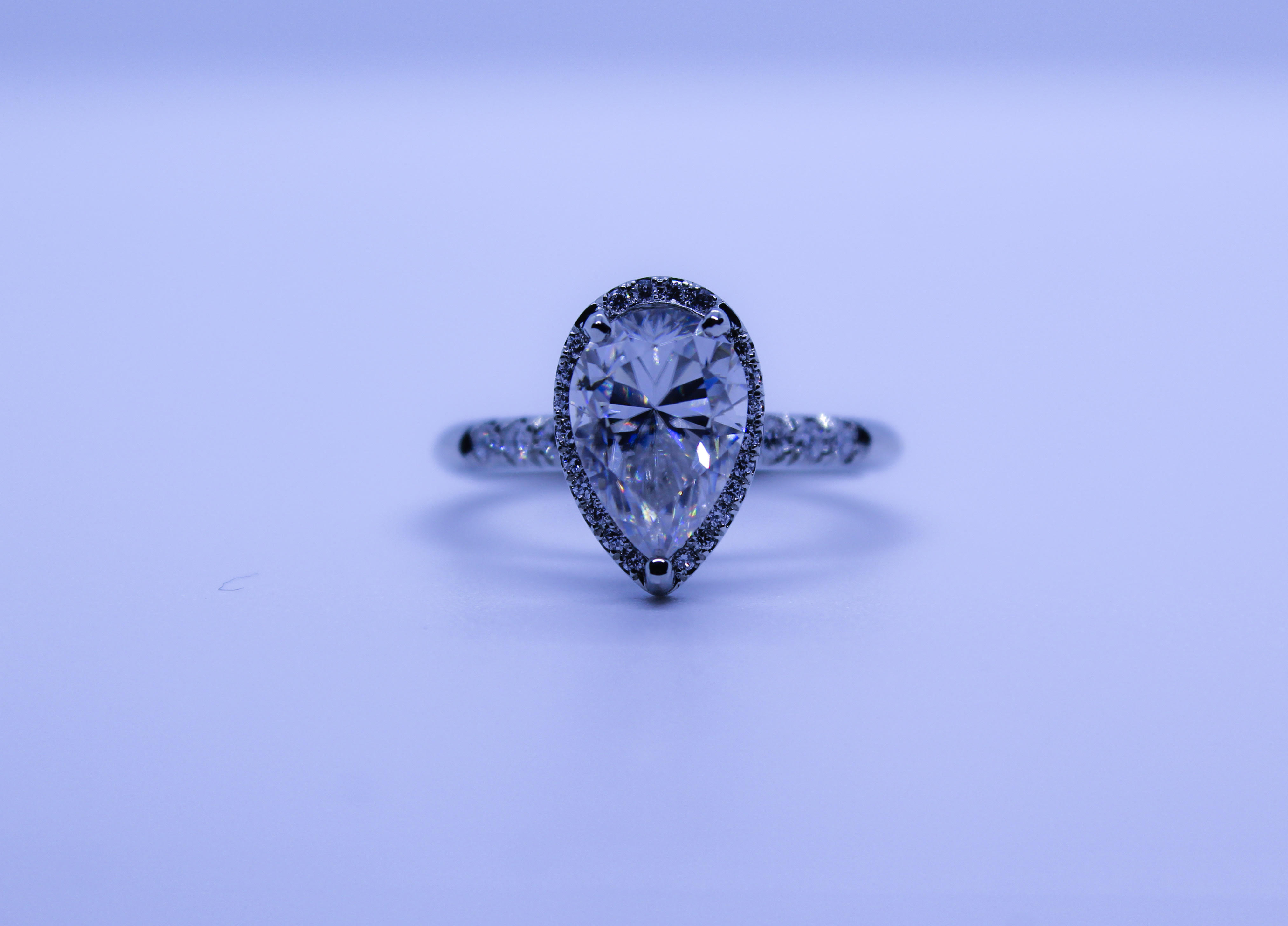 Photograph title Copy Copy Copy Copy Copy Copy Copy Copy Copy Copy