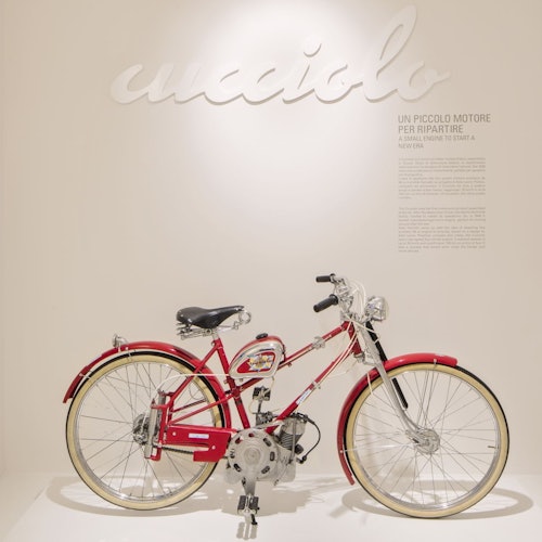 BICICLETTA ELETTRICA