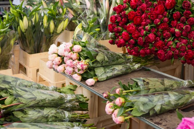 Take a Sunday Trip to the Columbia Flower Market