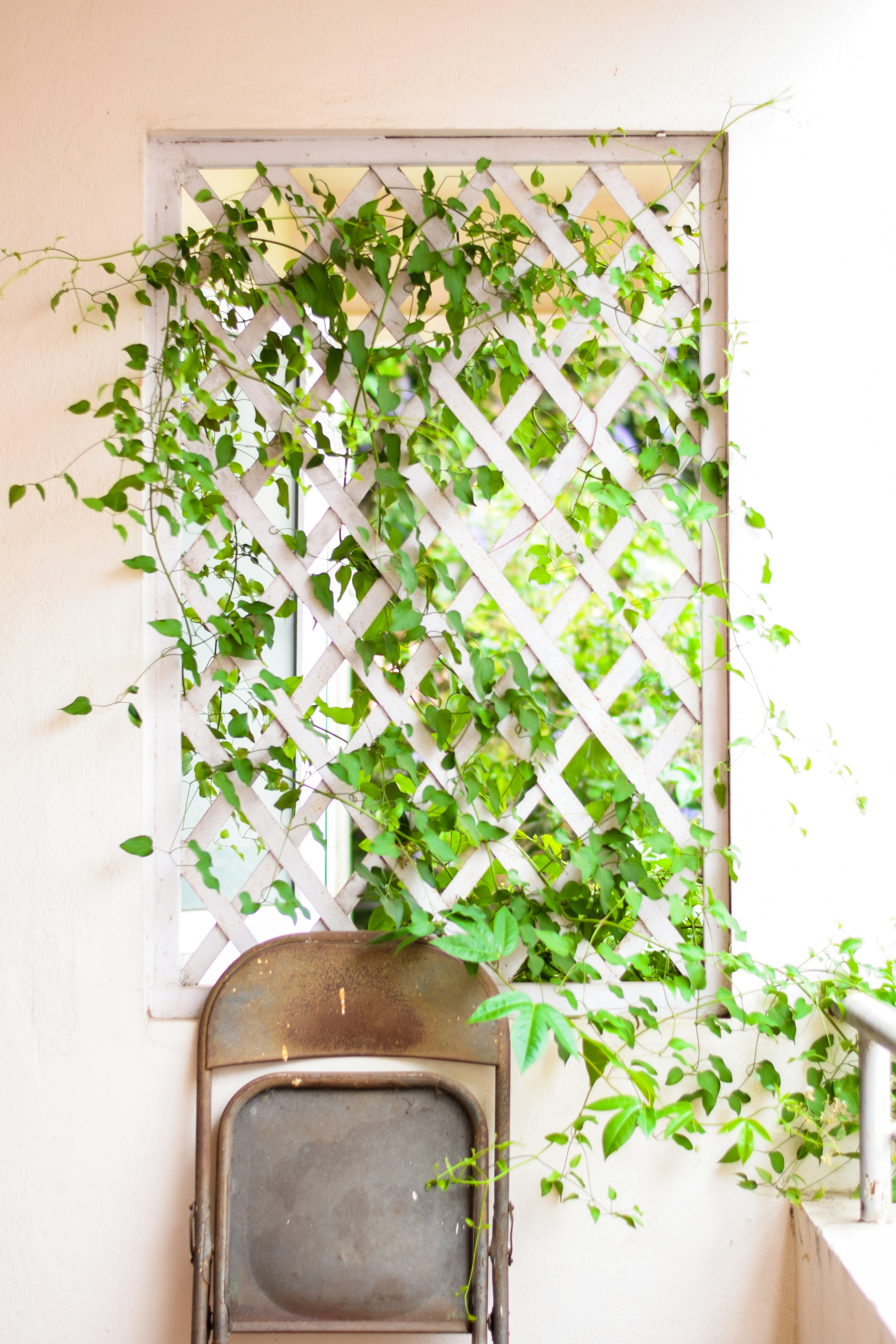 Waiter holding pizza boxes
