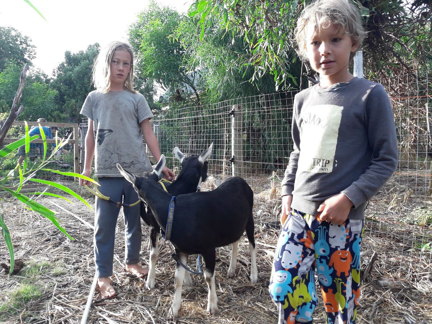 Kids growing food at Heart & Soil