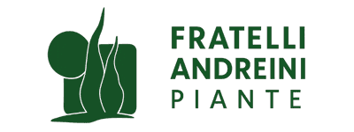 Logo Fratelli Andreini