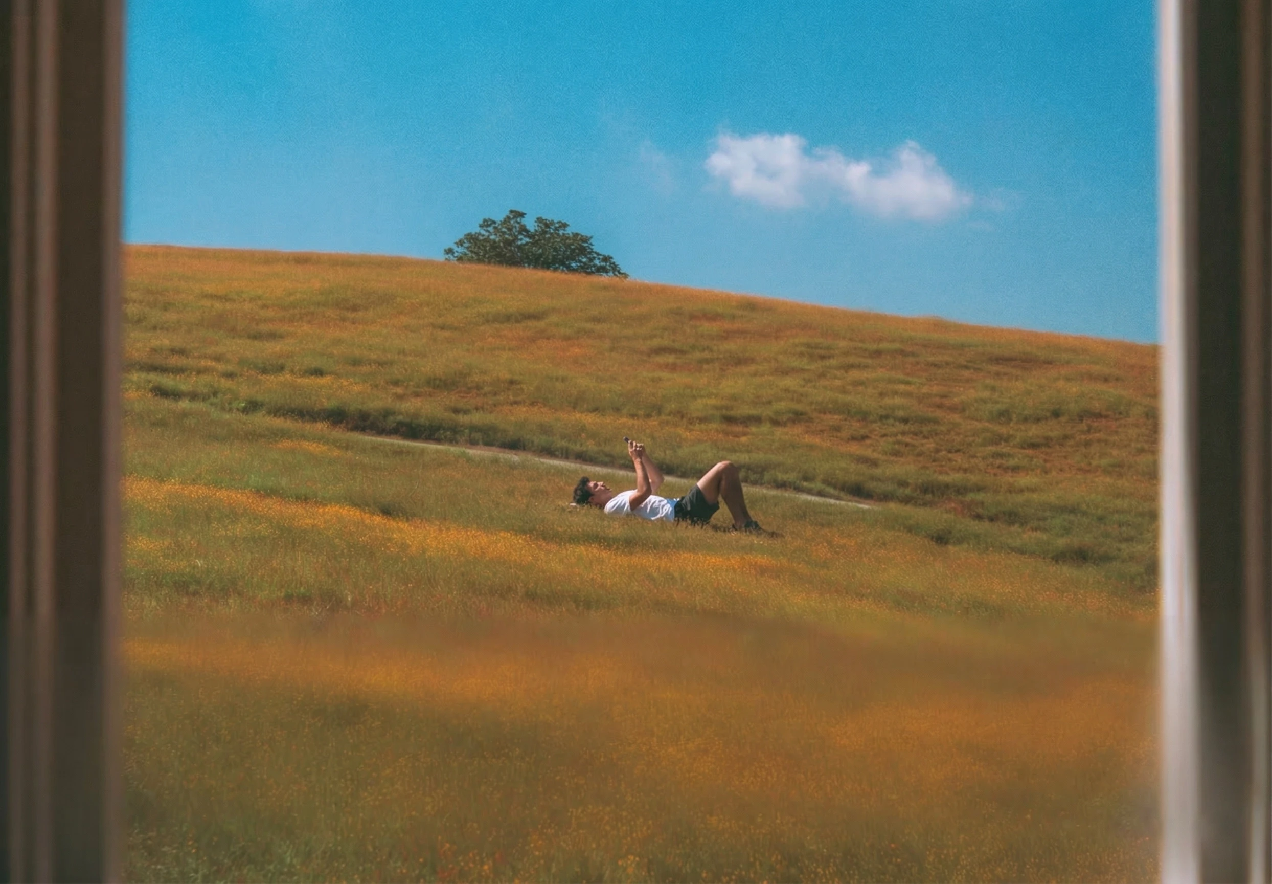 Person laying on a grassy field