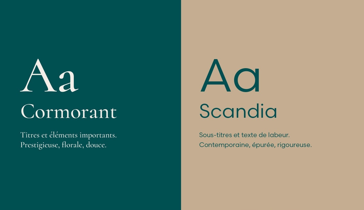 Identité visuelle Le 17 Éveuses June Agency