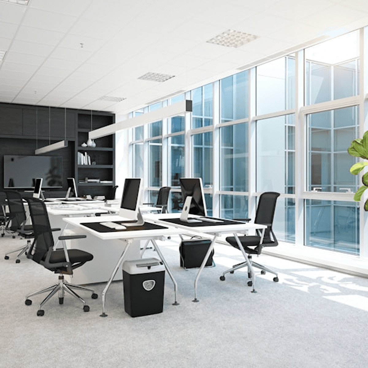 Our office overview