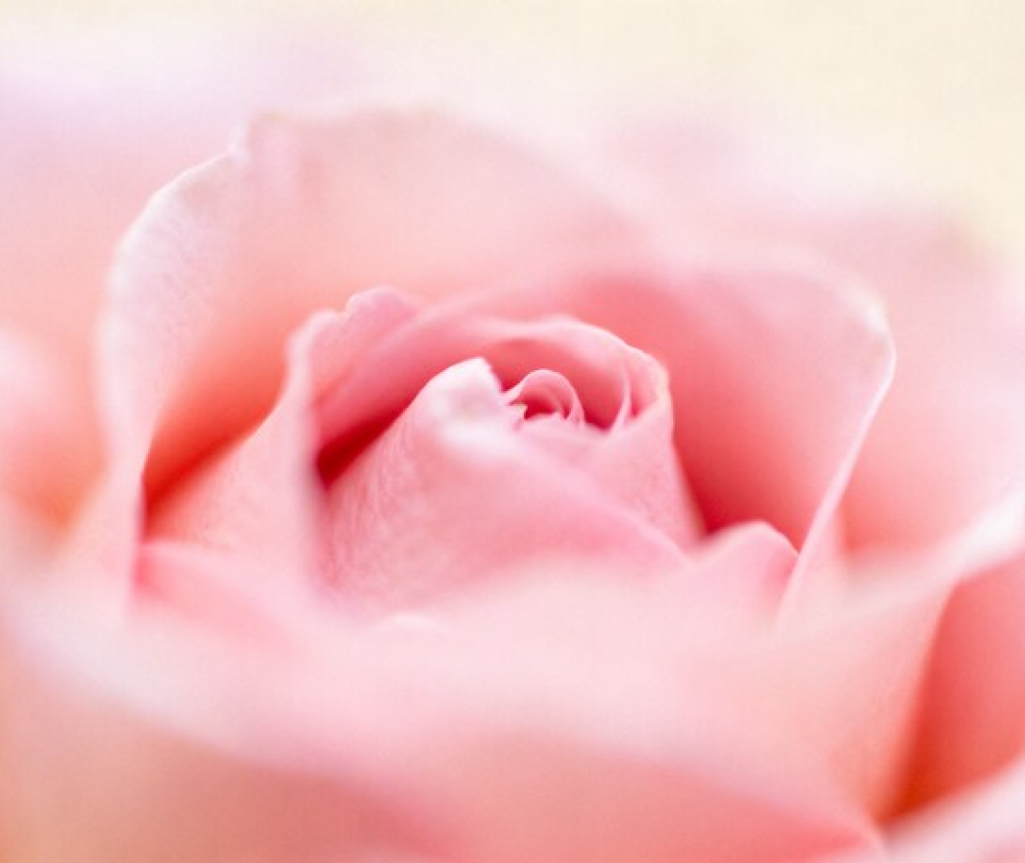 Card Background Image