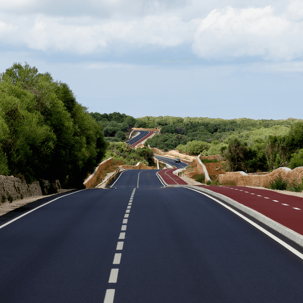 Close-up of a green palm leaf with intricate veining and texture, showcasing rich shades of green.