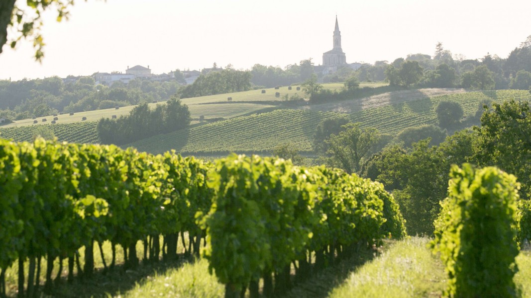 bordeaux 