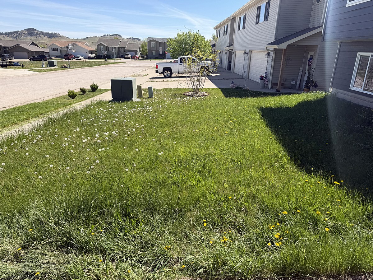 Completed lawn care project in Spearfish and the Black Hills, SD