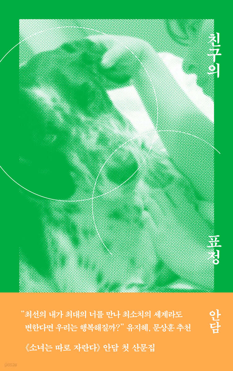 작가 안담의 친구의 표정 책 표지
