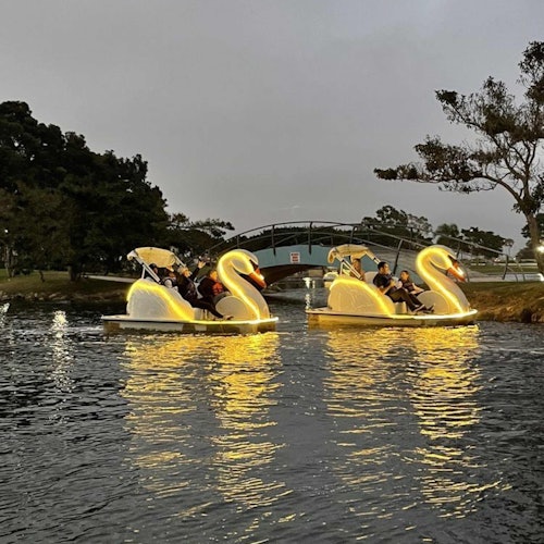 长滩:彩虹泻湖天鹅船租赁