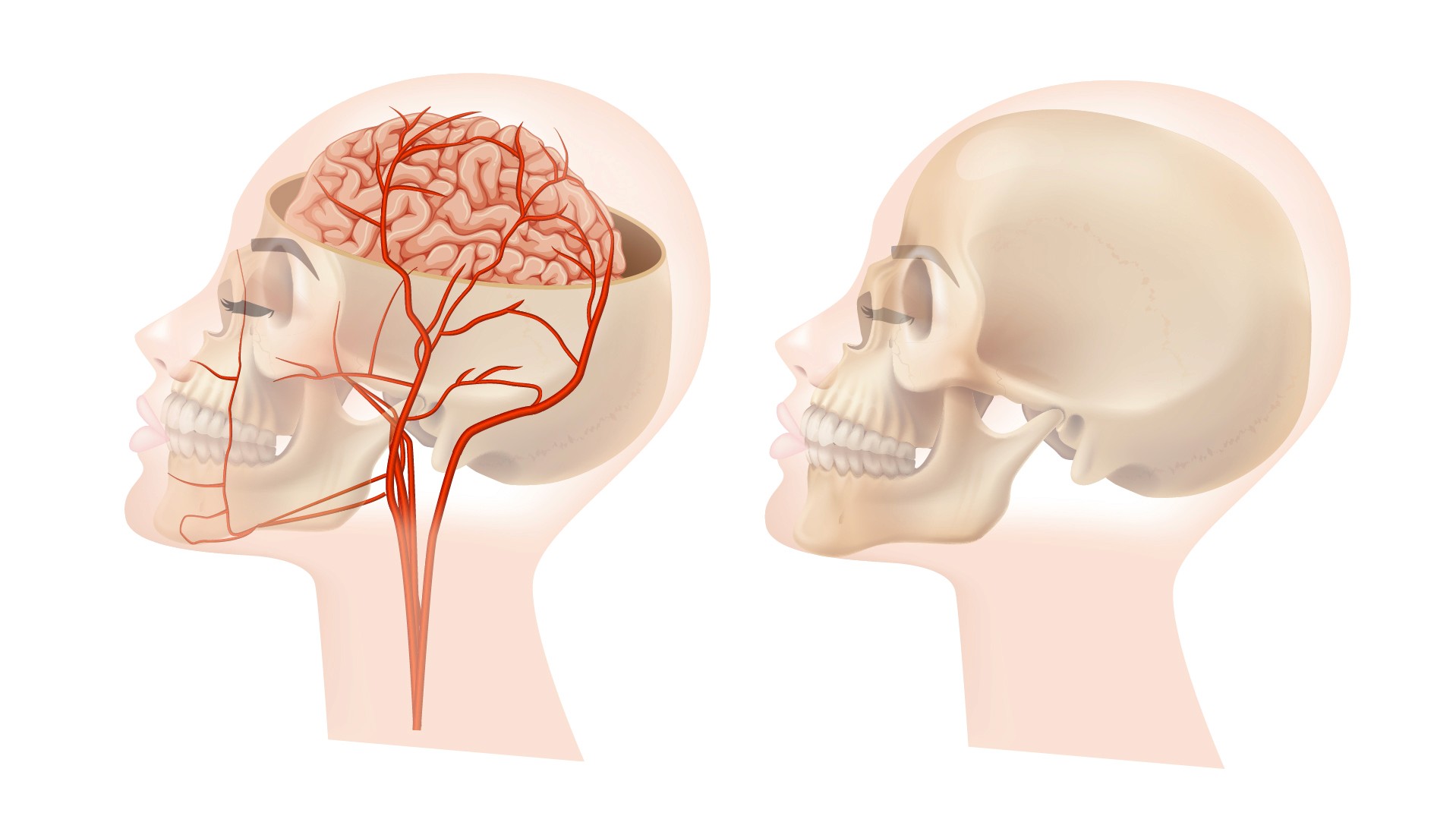 Dashboard Sidebar Close Up