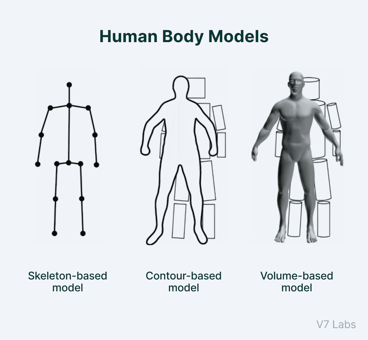 Human body models