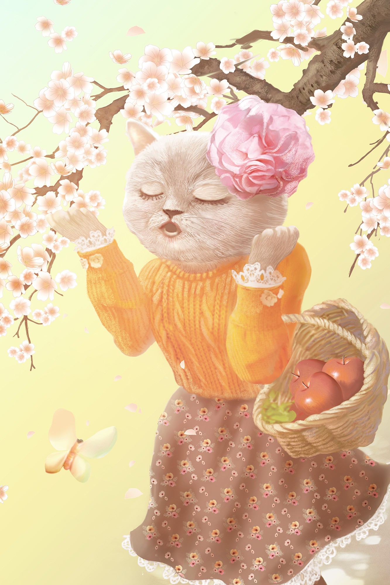 miss meow cherry blossoms
