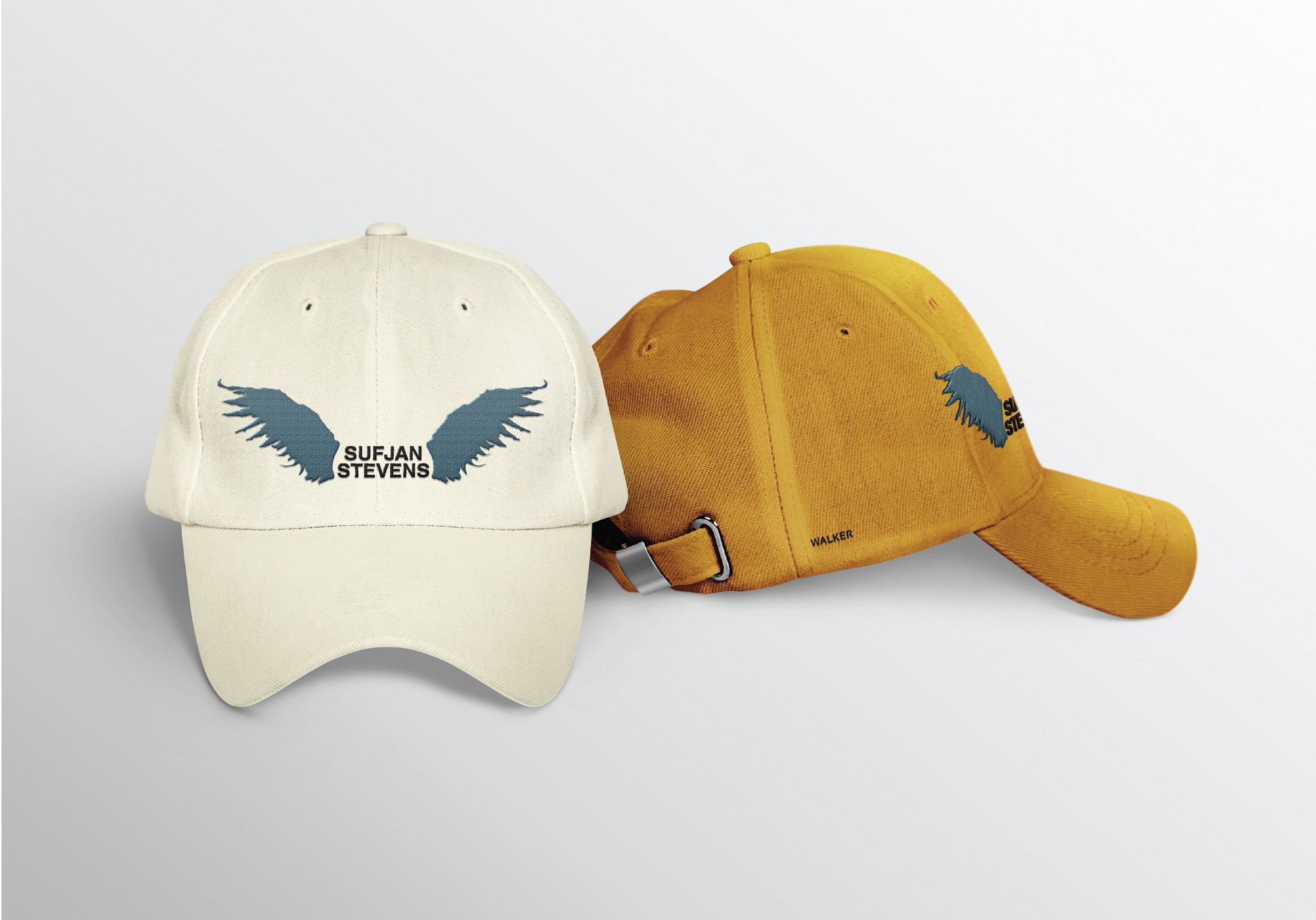 Sufjan Stevens cap mockup