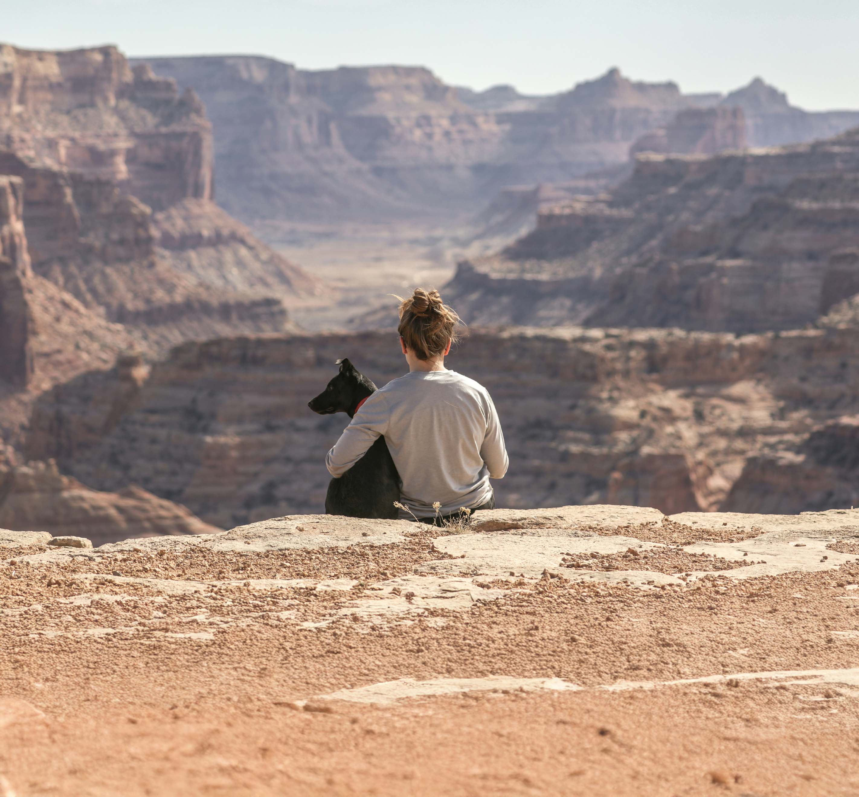 étude du comportement