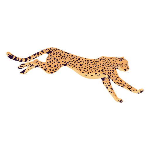 cheetah png