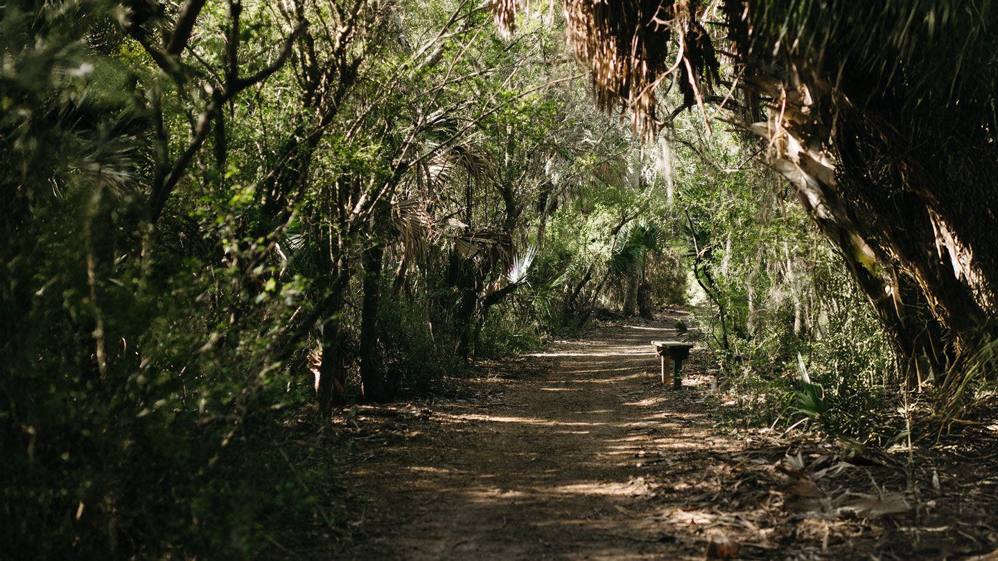 two people in kayaks paddling on the water