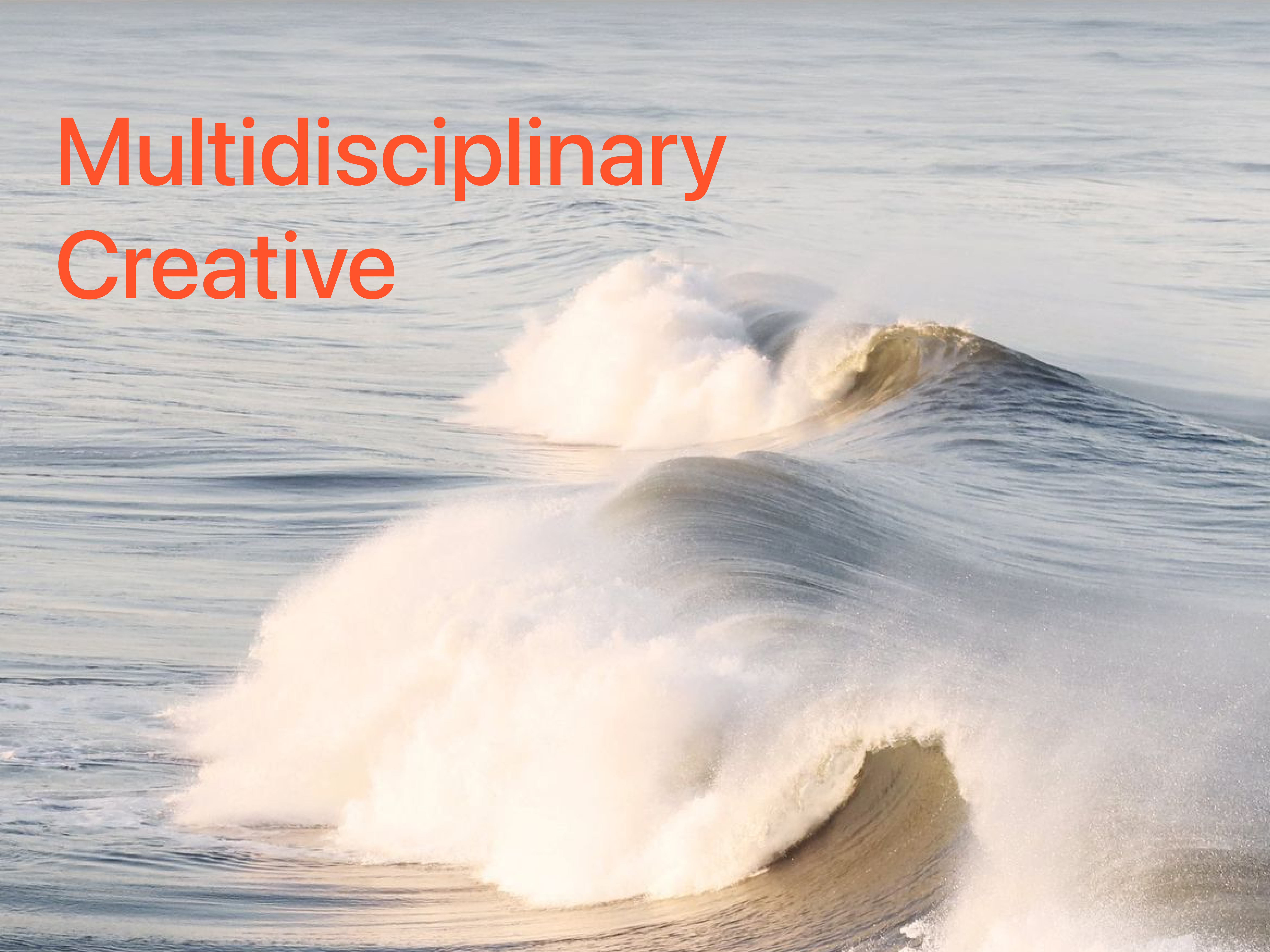 Why I Call Myself a Multidisciplinary Creative