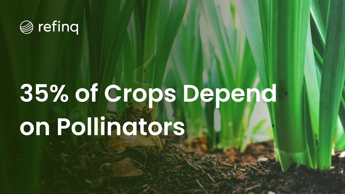 Pollinators