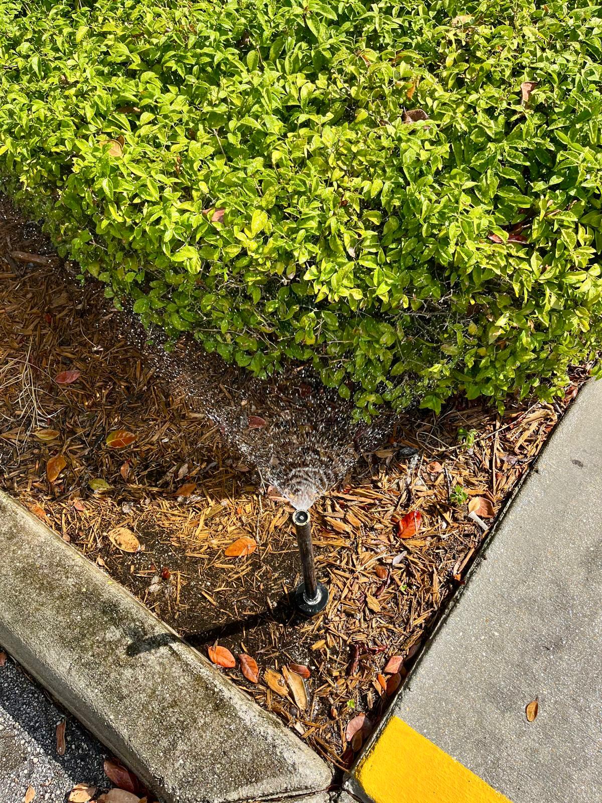 Sprinkler repair