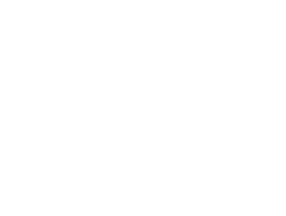 Roan Logo