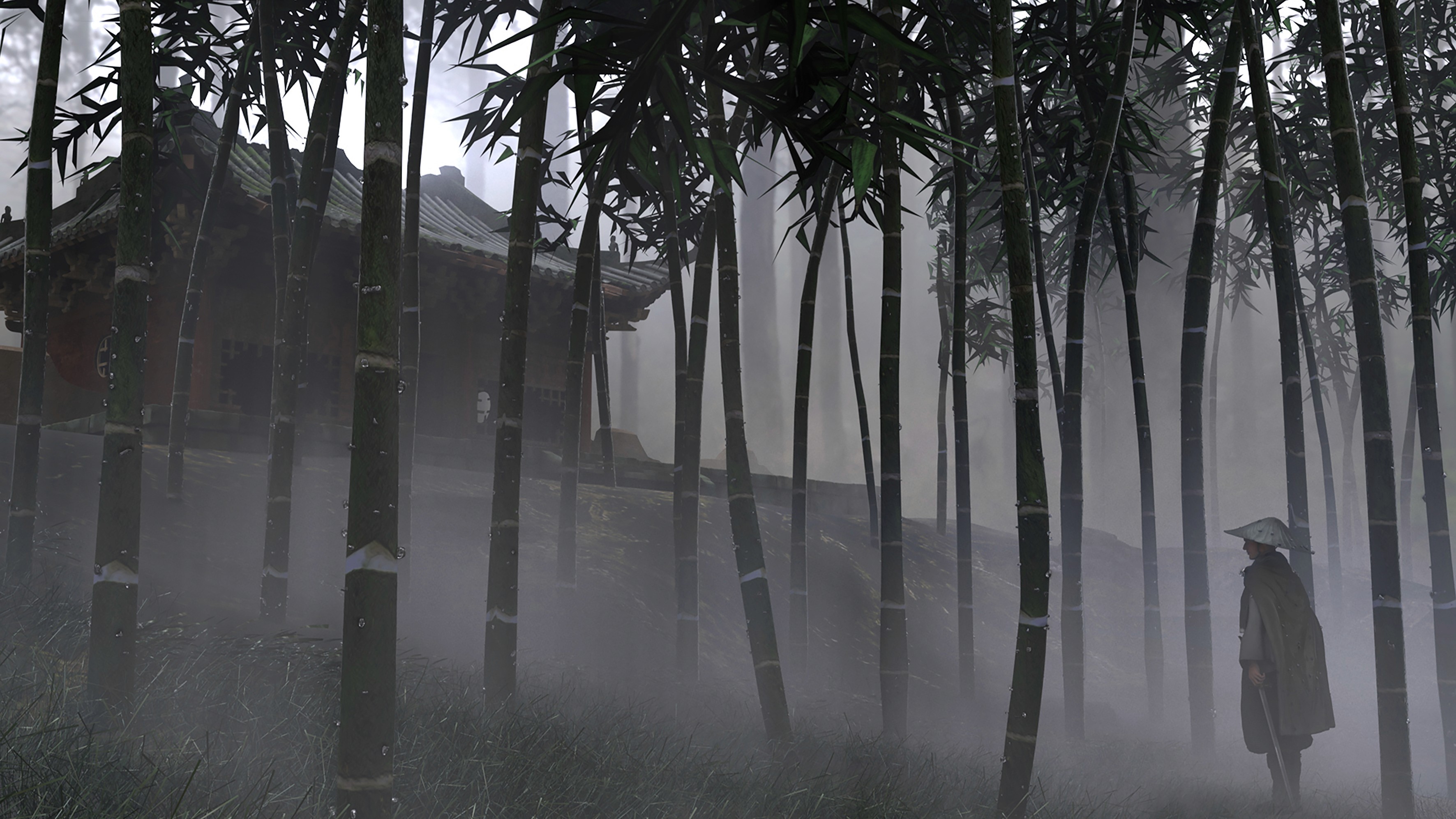 Shadows in the Bamboo Forest