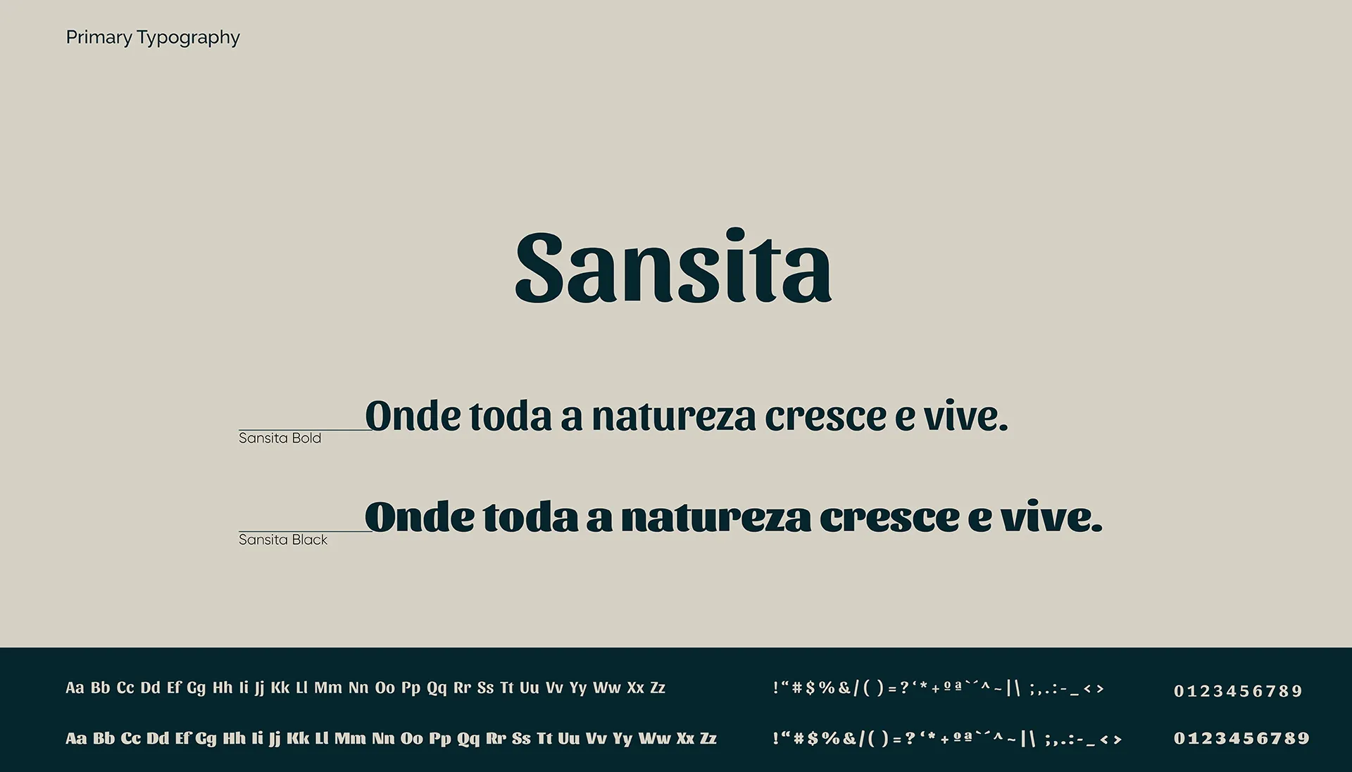 PróVida rebrand primary typography Sansita