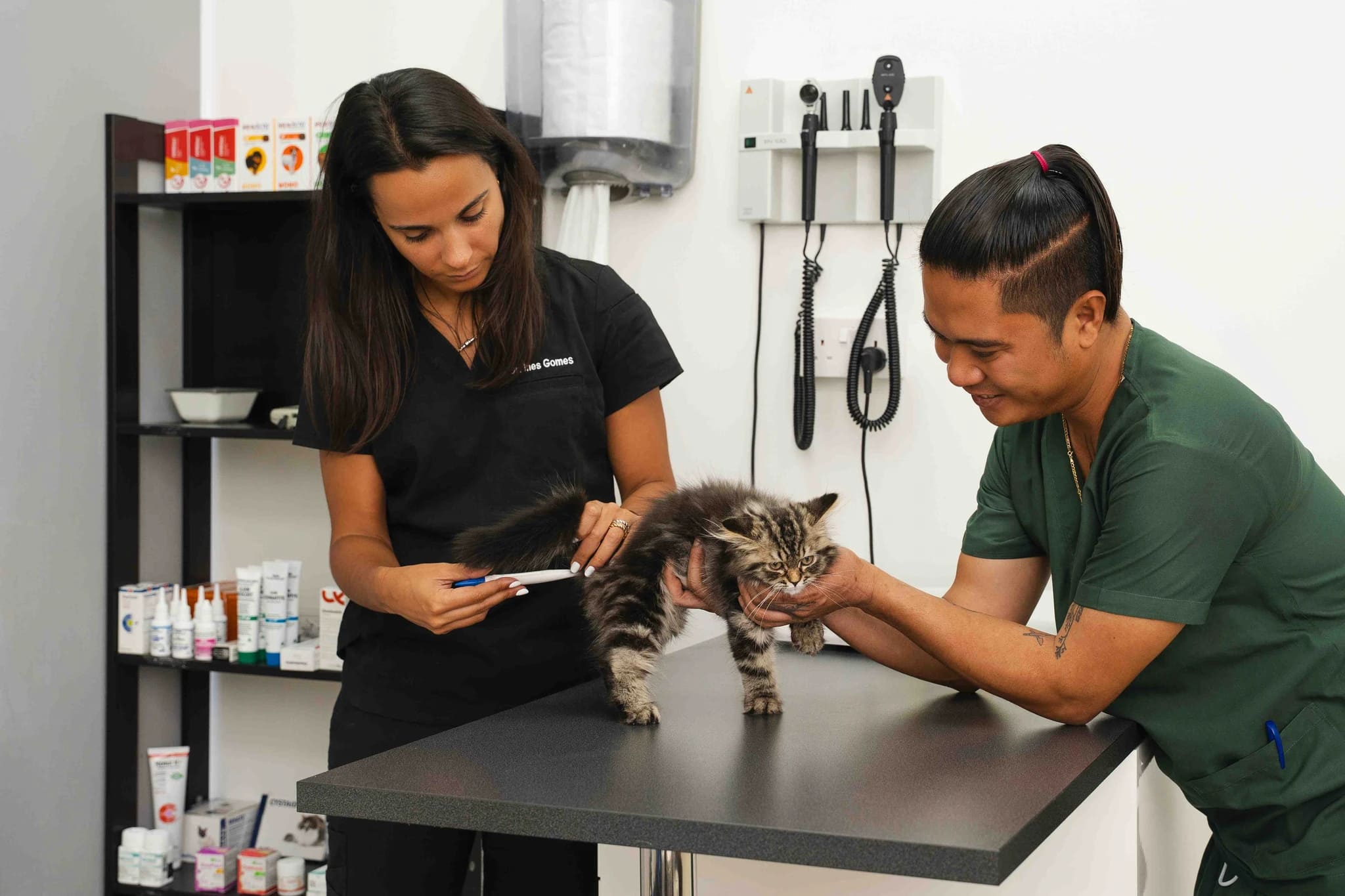 Dr. Inês Gomes administers care to a cat with the help of an assistant, using a syringe in a well-equipped veterinary clinic.