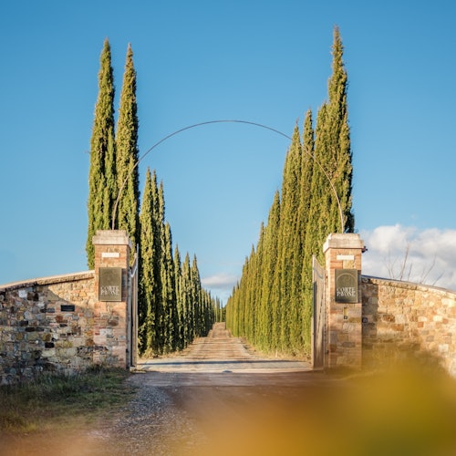 Entrance to the Winery