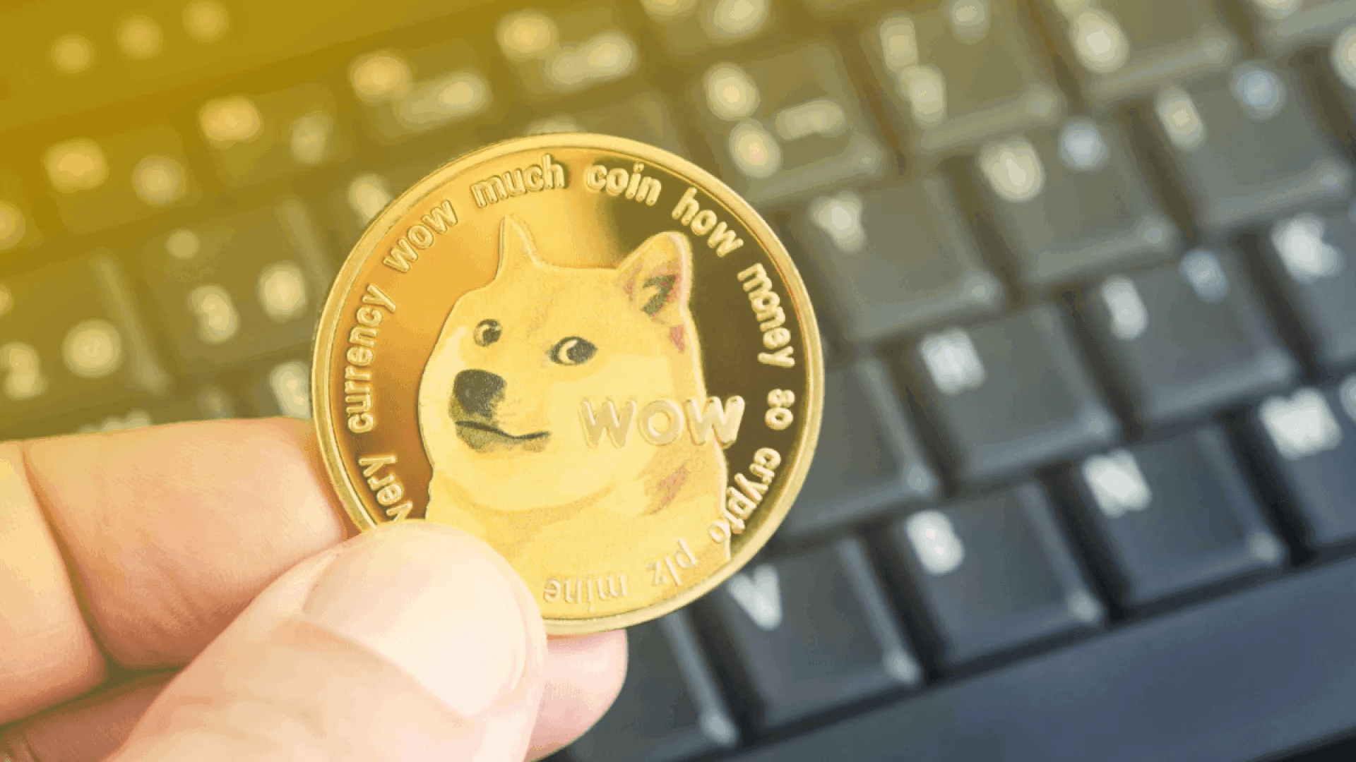 Person holding cryptocurrency coin - How to Trade Memecoins