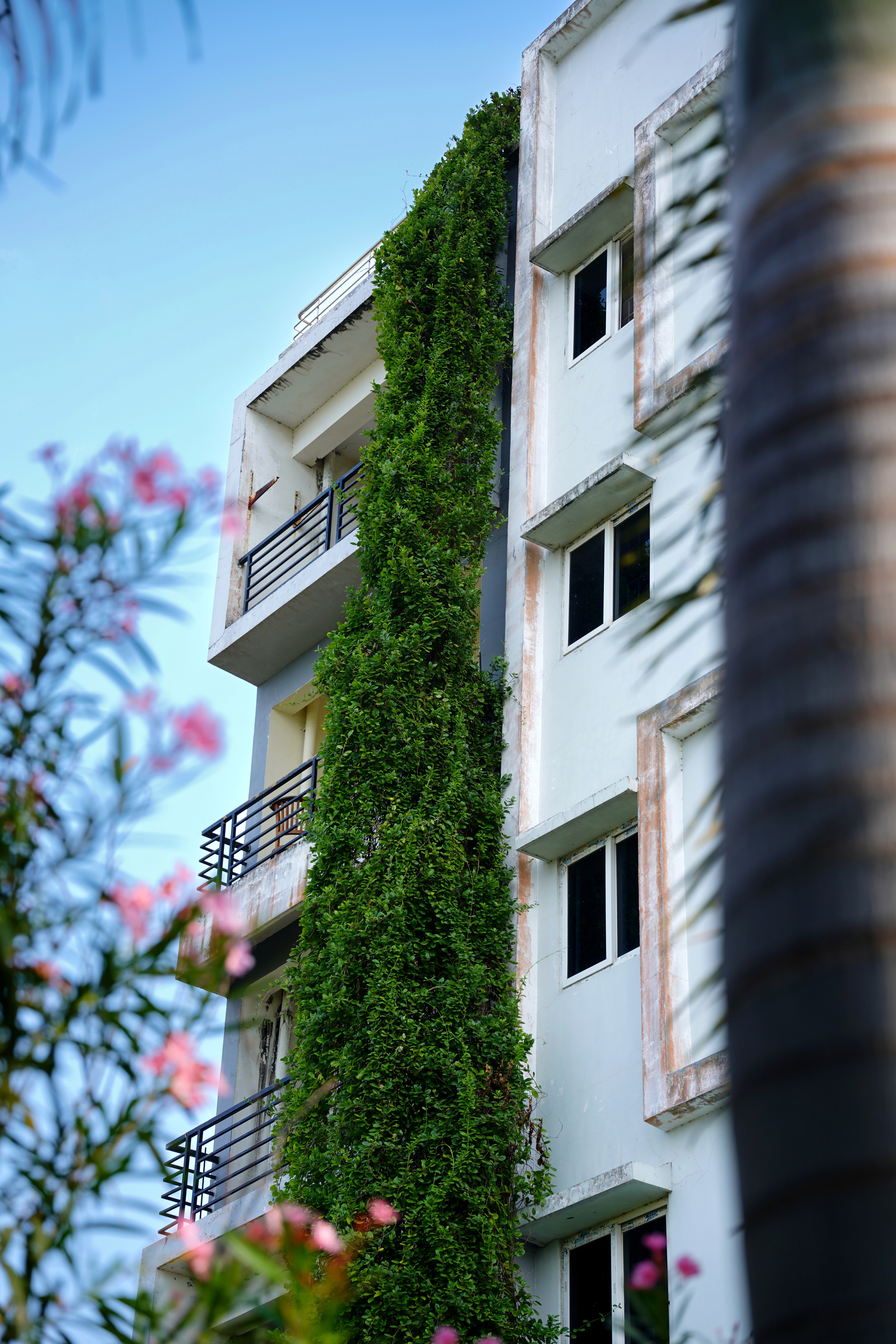 Country Property Images