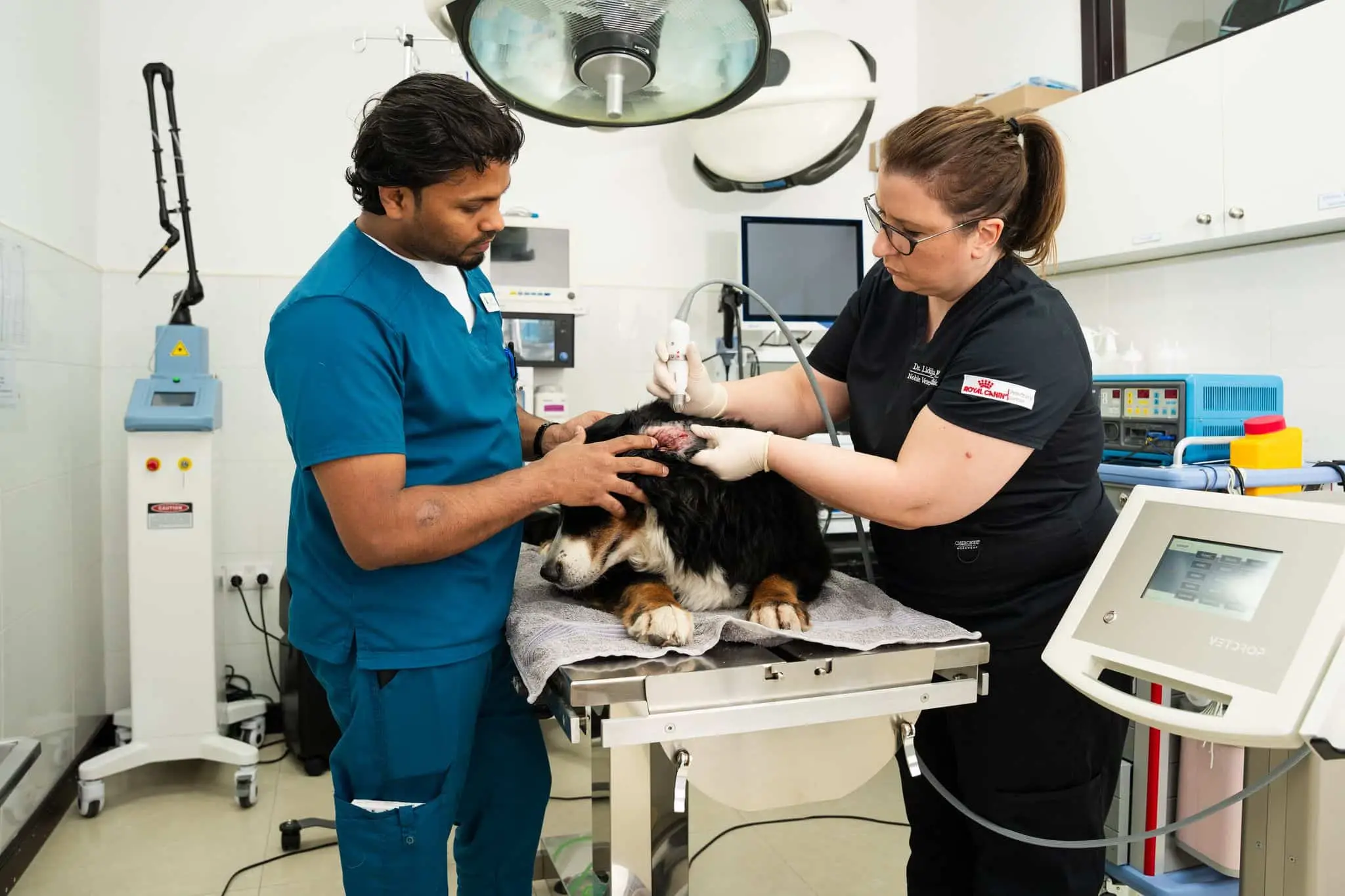 At Noble Veterinary Clinic, Dr. Lidija Krvavac uses medical equipment to examine a dog in a fully equipped clinical room with surgical lights and monitors.