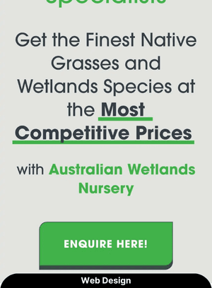 Web Design for Australian Wetlands Nursery