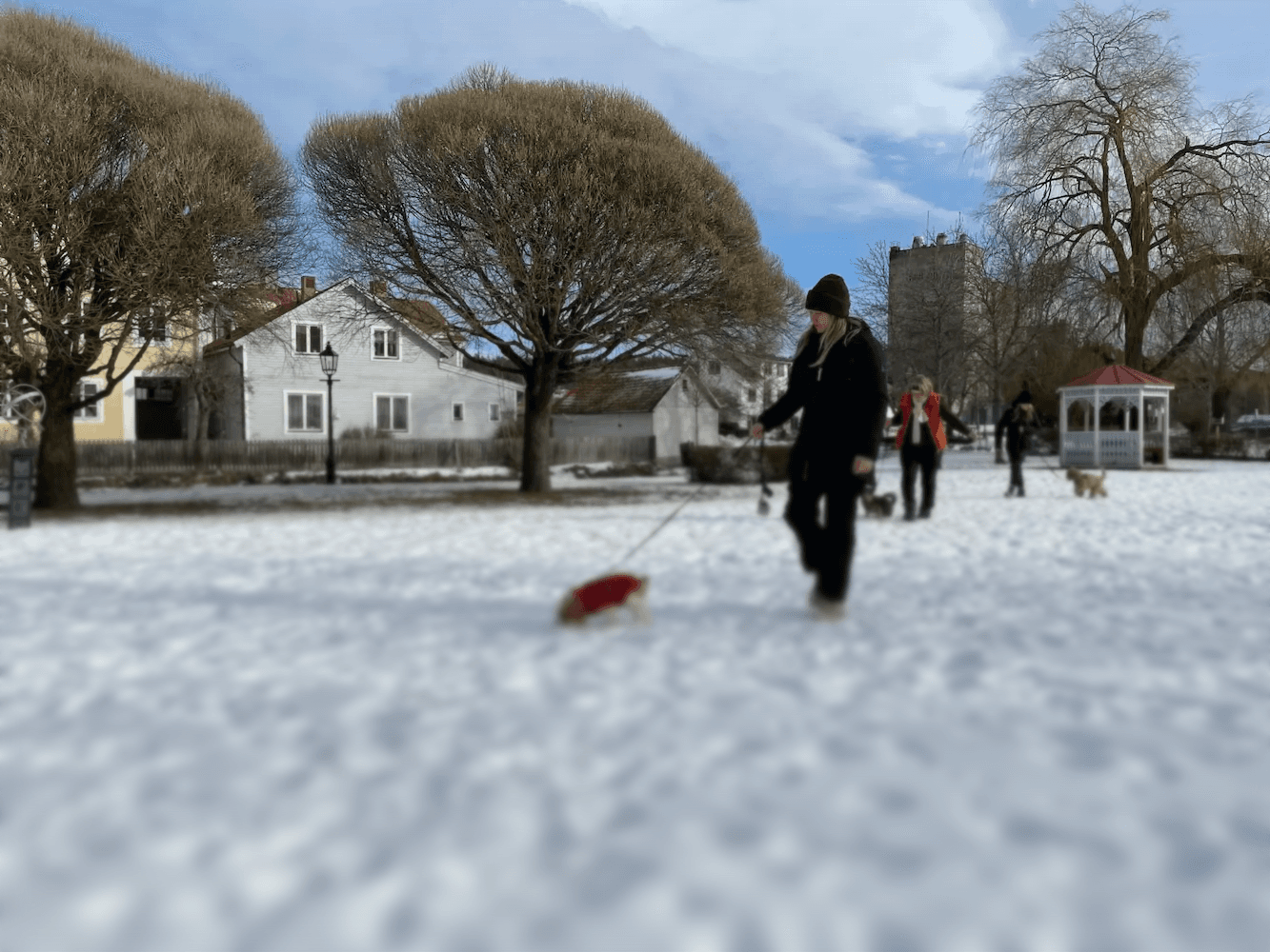 Hundkurs i Gamleby/Västervik med Tassa och Trava – Bättre begagnat.