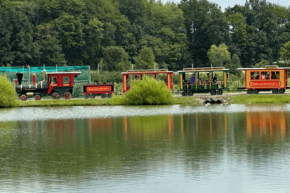 McNeil Trackless by lake