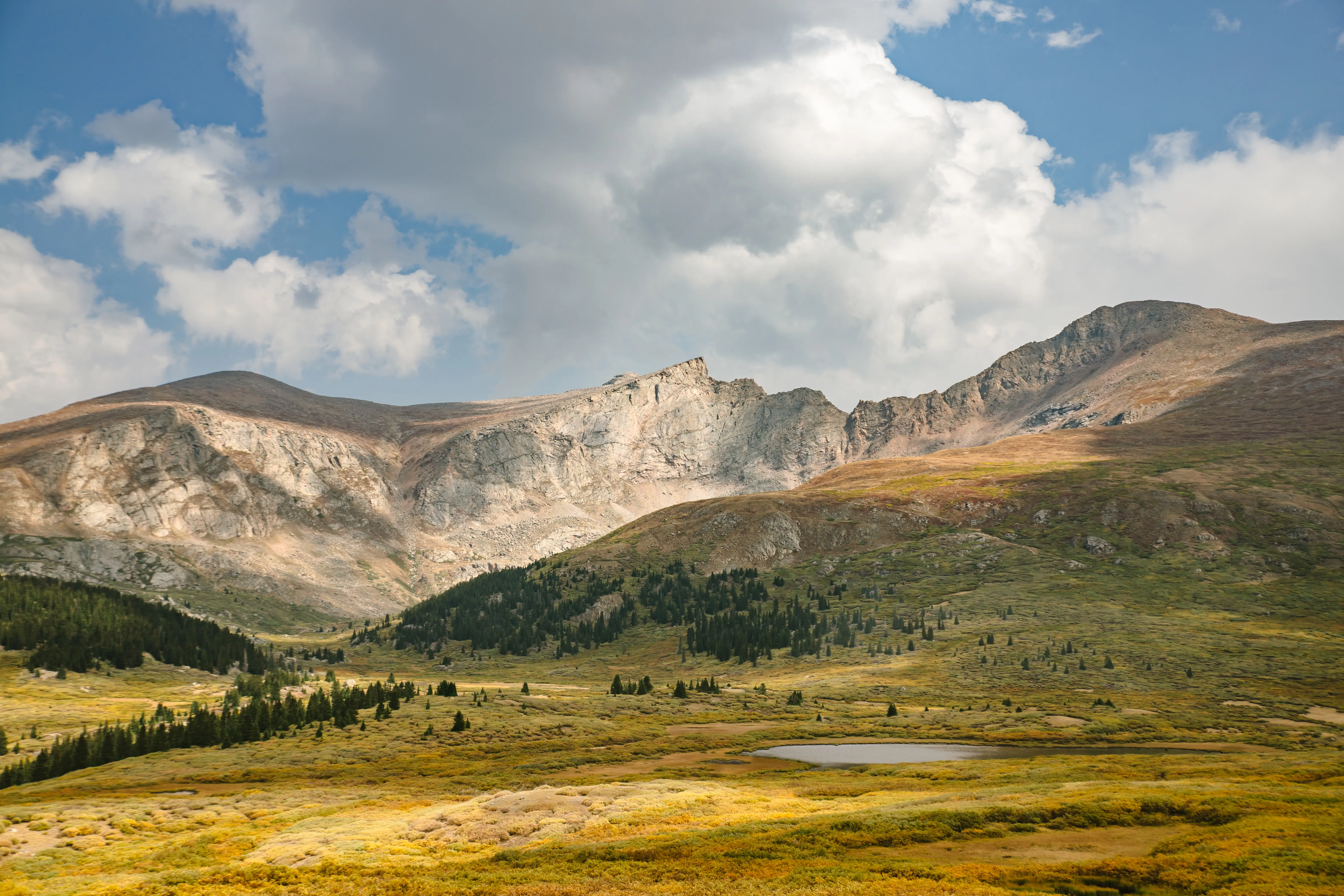 Streetside billboard with flyposters of the Batch.Works brand and illustrations