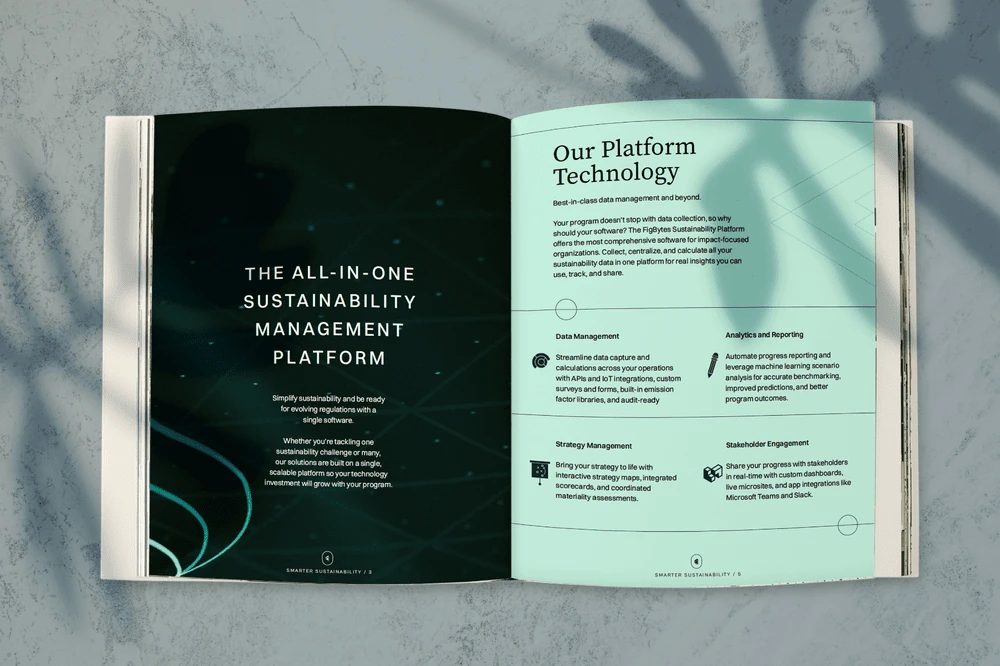 FigBytes ebook cover and interior