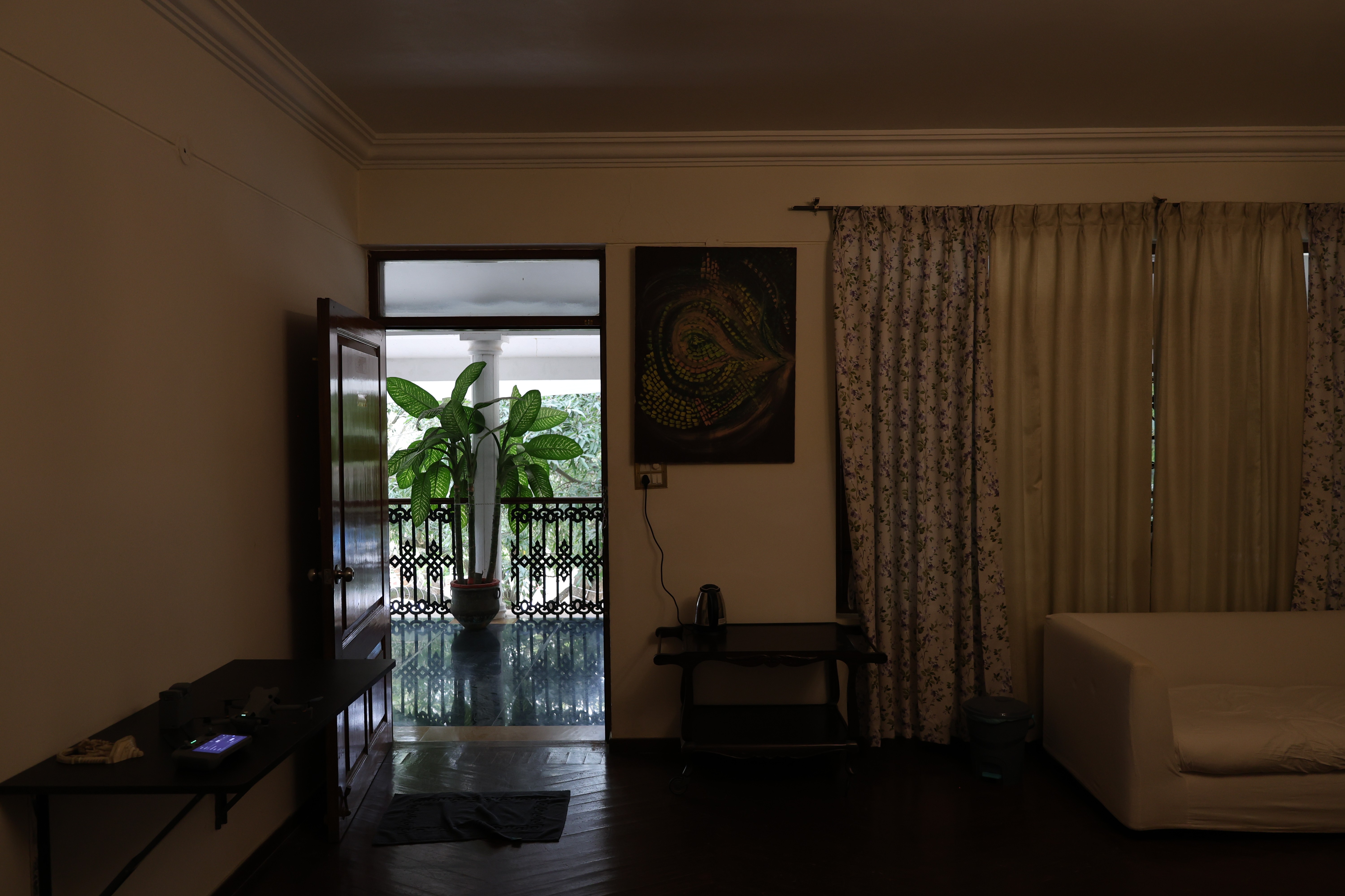 woman in orange dress illustration