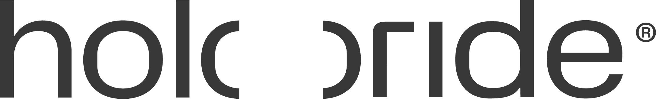 holoride logo on a transparent background.