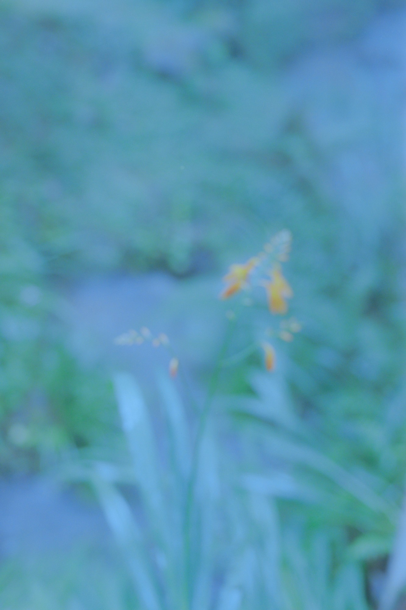 Taisei Matsumoto, 2023 exhibition work 026