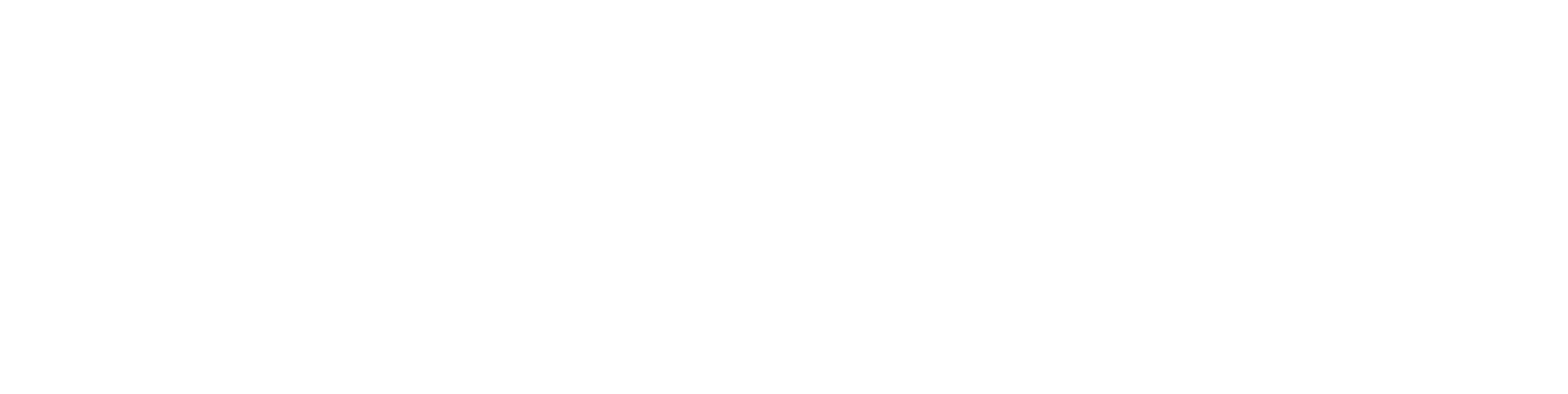 Logo Design Project for a Client