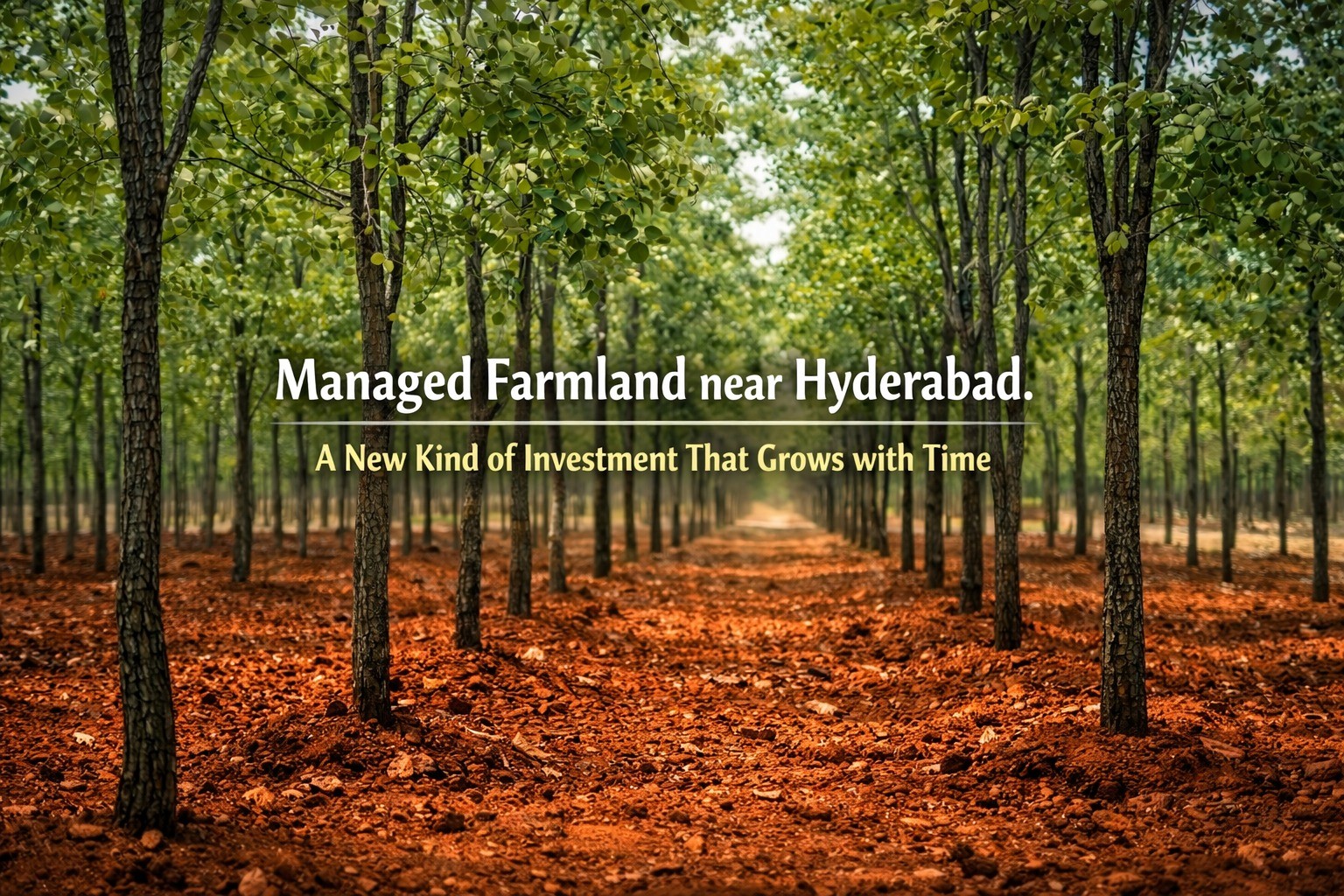 Managed Farmland near Hyderabad: A New Kind of Investment That Grows with Time - blog cover by Charan Group
