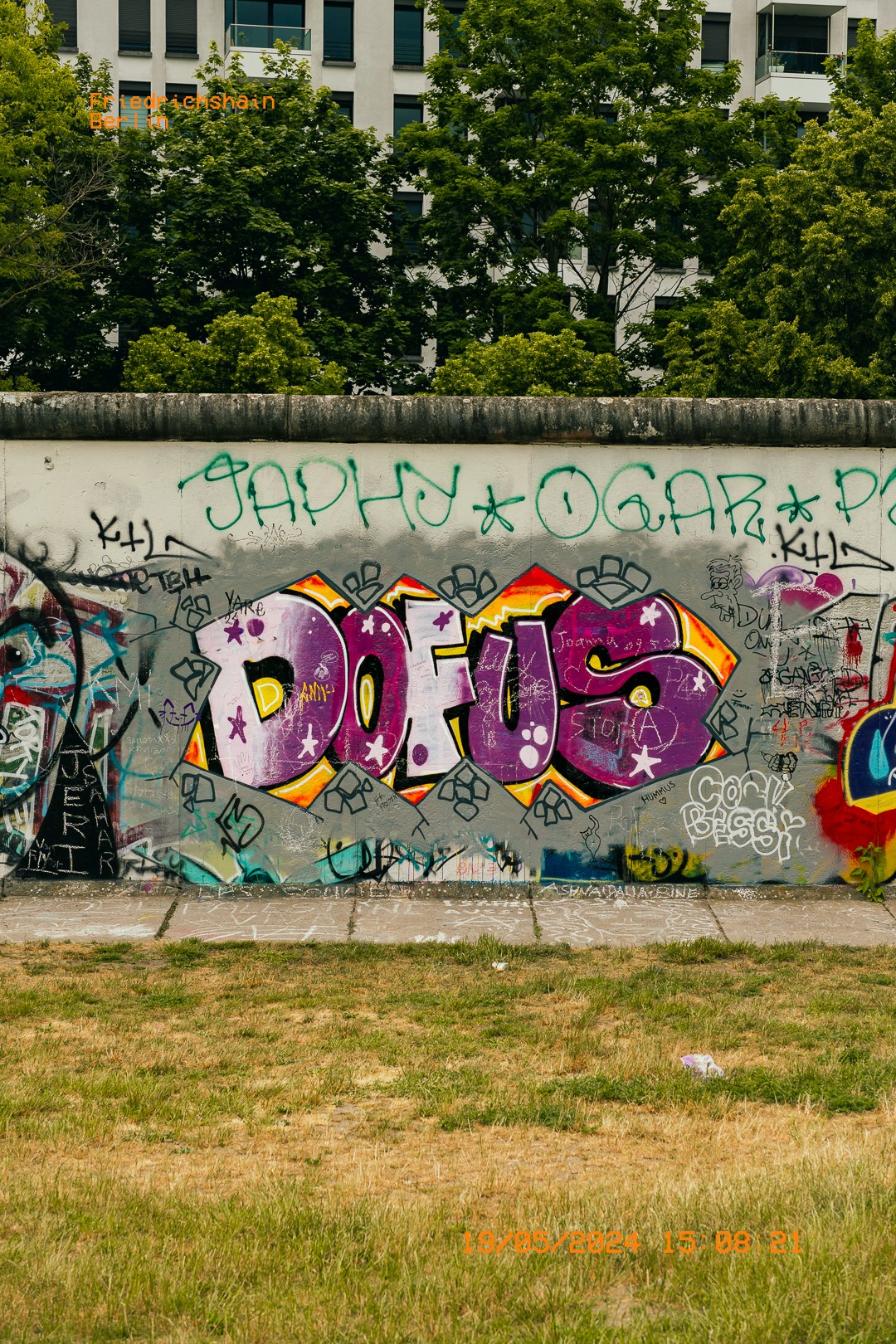 Tag « DOFUS » peint en violet sur le Mur.  