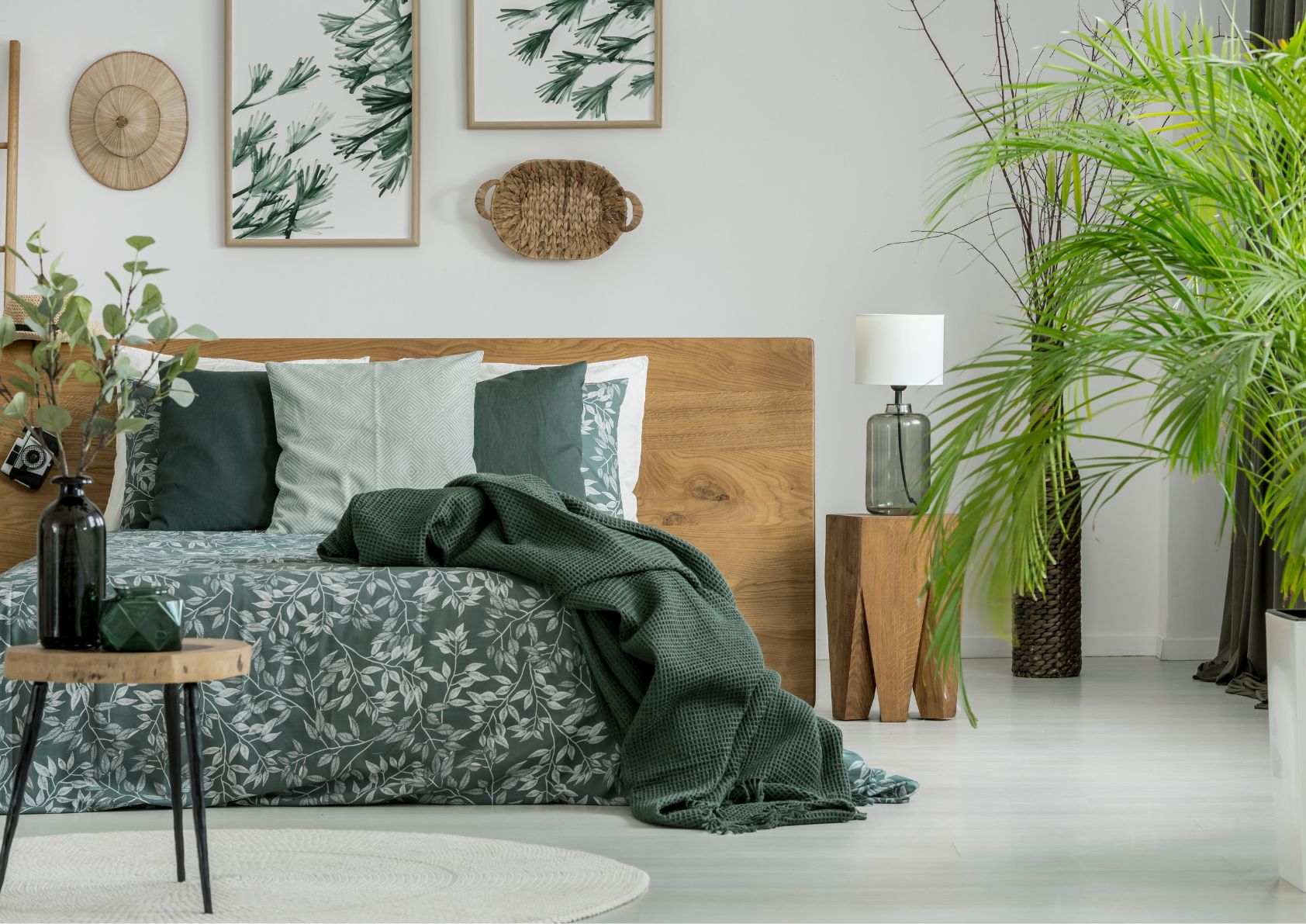 Indoor plants decorating a cosy bedroom