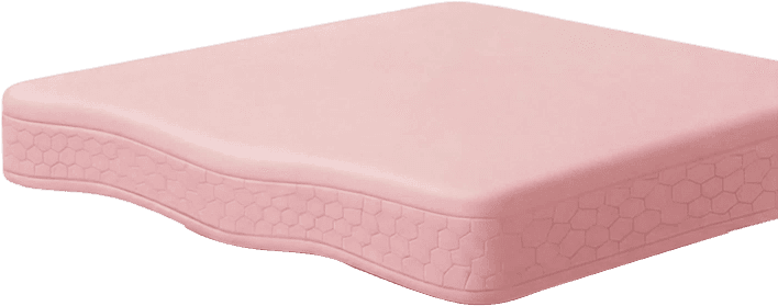 피부 구조 다이어그램 – 표피층(epidermis) 위치 표시