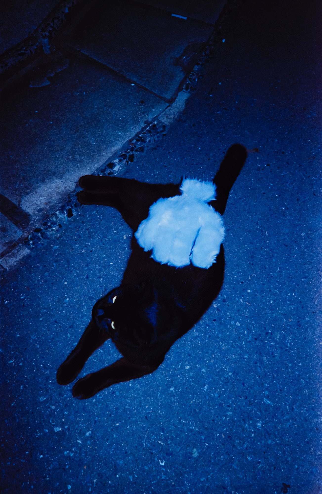 Taisei Matsumoto, archive random photograph 043
