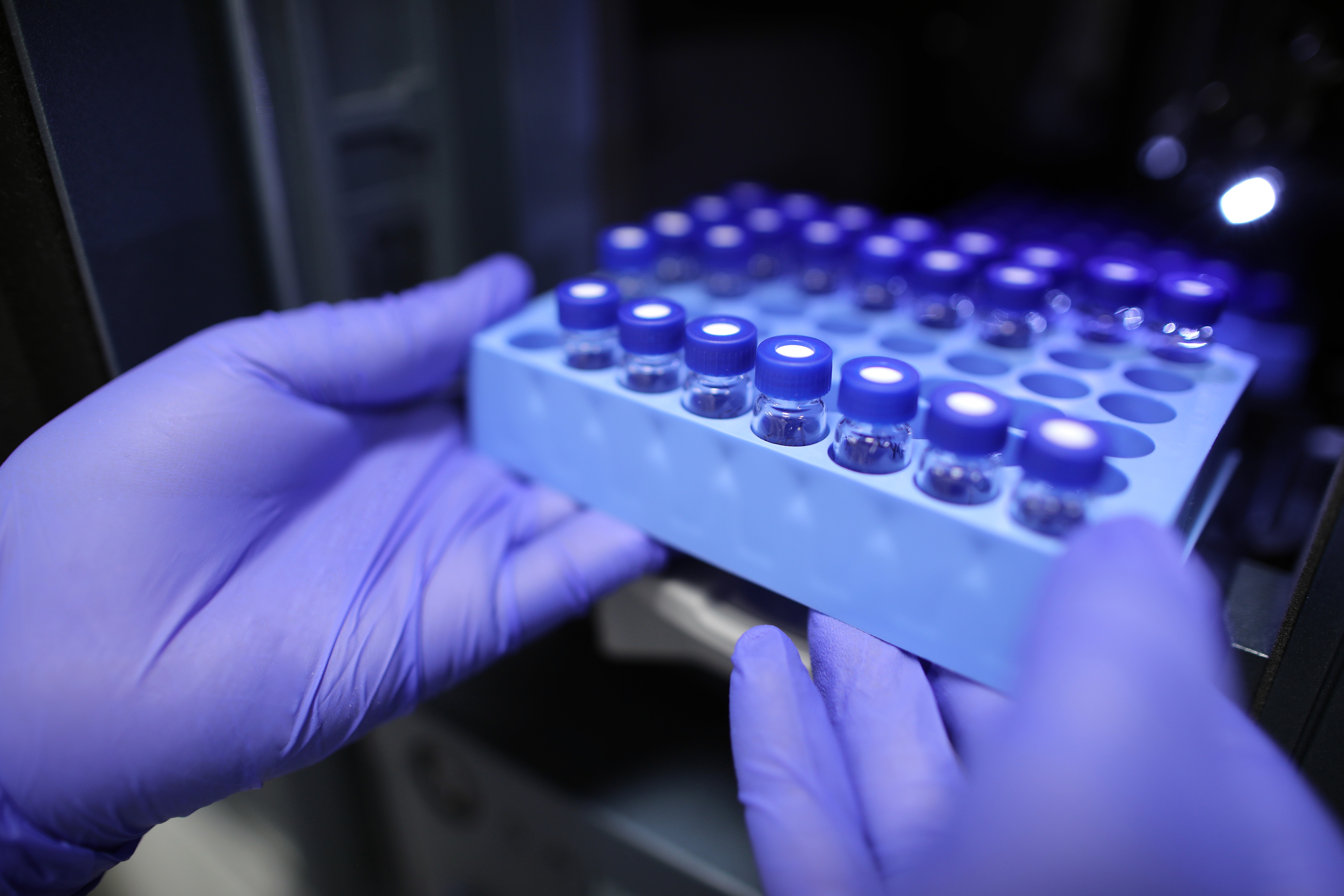 Gloved hands holding a tray of capped sample vials under blue laboratory lighting